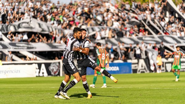 Pectoraux pour les sportifs de combat